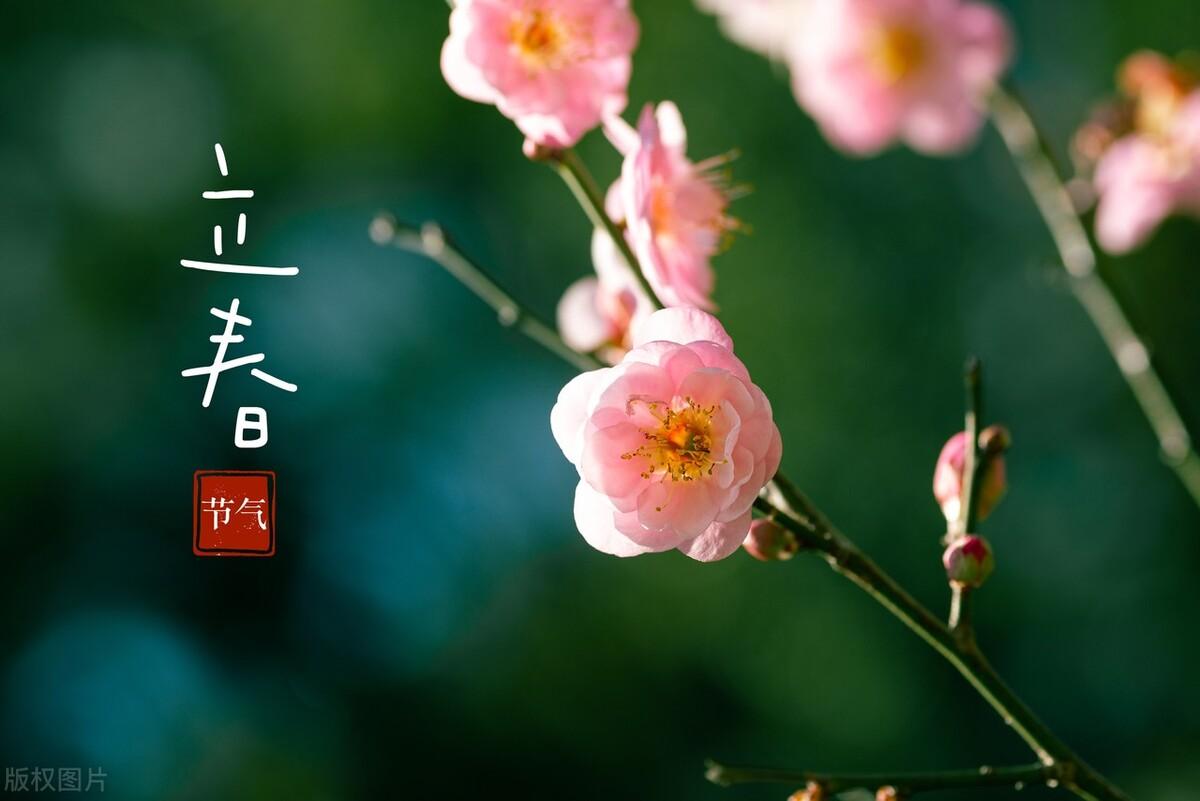 立春的祝福语20句,愿你立春快乐