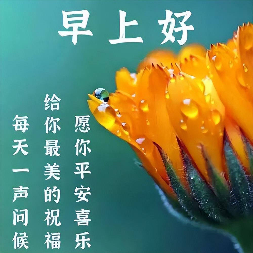 早上好真诚问候语,一声早安,平安吉祥