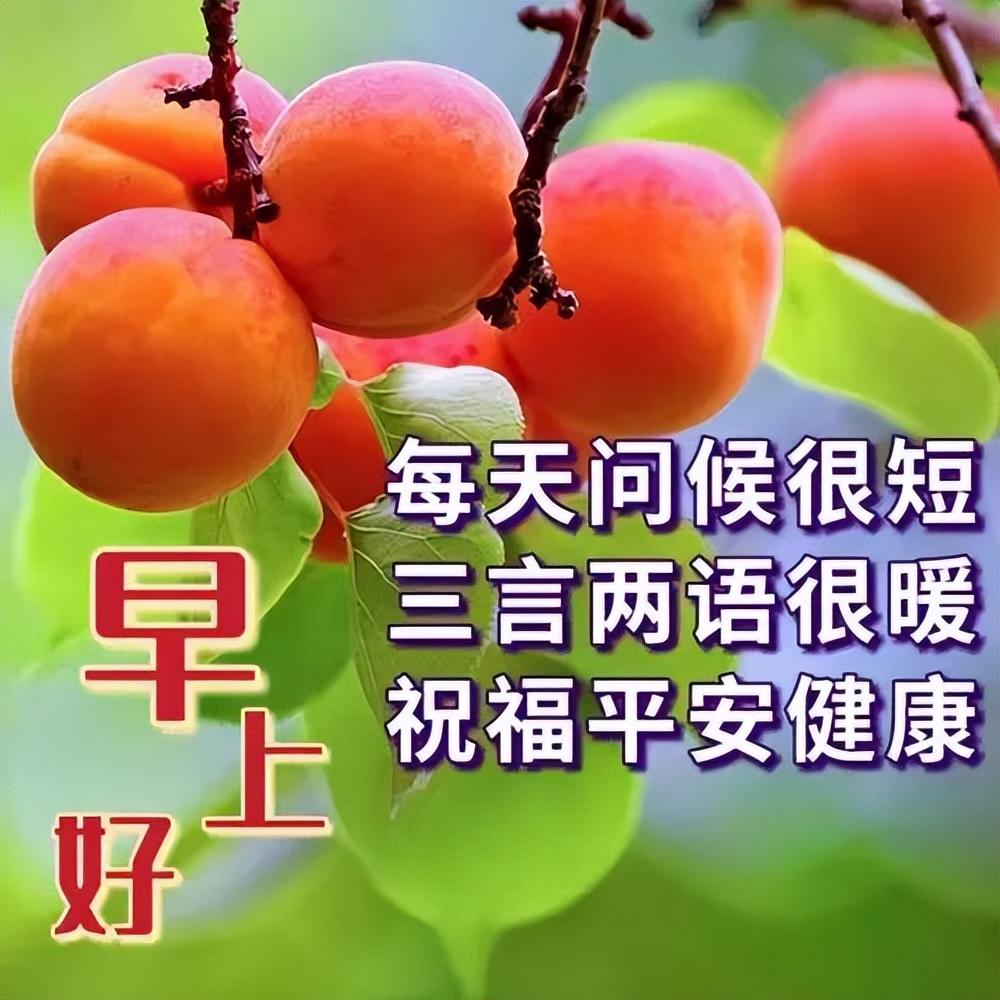 早上好真诚问候语,一声早安,平安吉祥