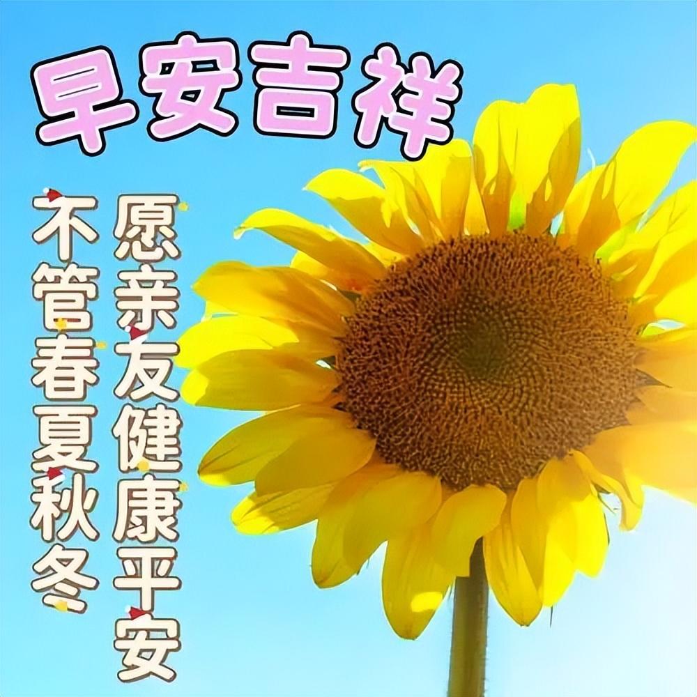 早上好真诚问候语,一声早安,平安吉祥