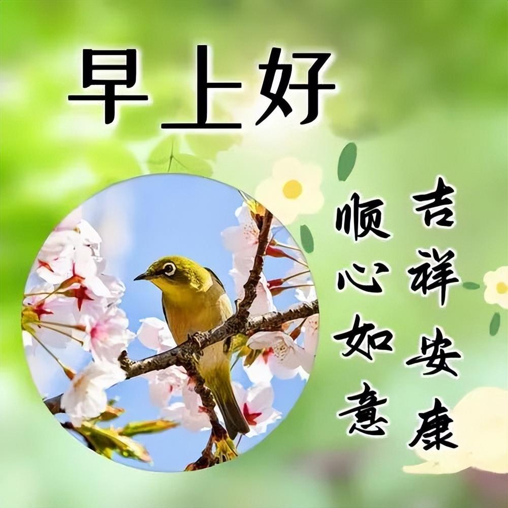 早上好真诚问候语,一声早安,平安吉祥