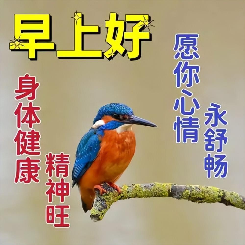早上好真诚问候语,一声早安,平安吉祥