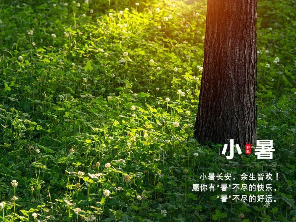 小暑祝福语10句,问候随风轻送