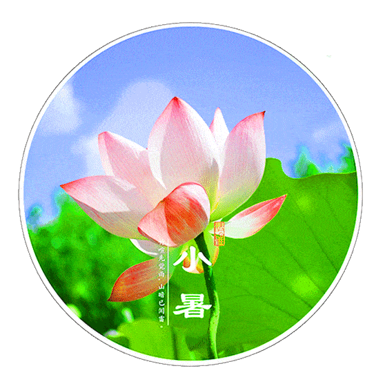 小暑祝福语10句,问候随风轻送