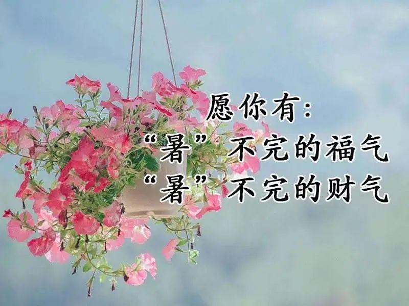 小暑祝福语10句,问候随风轻送
