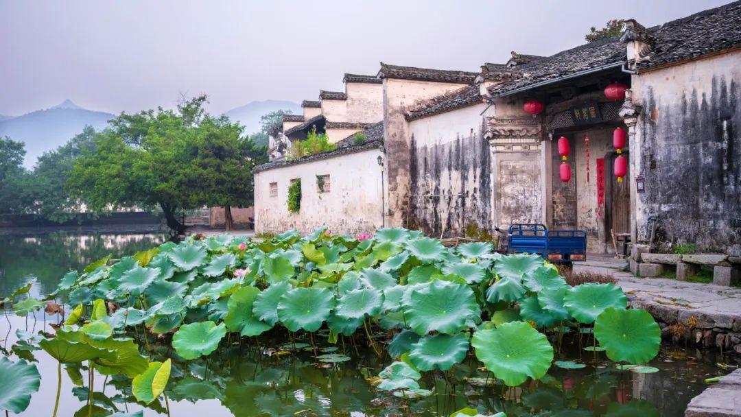 夏天的成语24句(附:来源及释义)