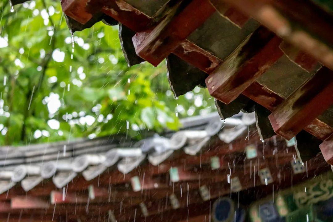 夏天的成语24句(附:来源及释义)