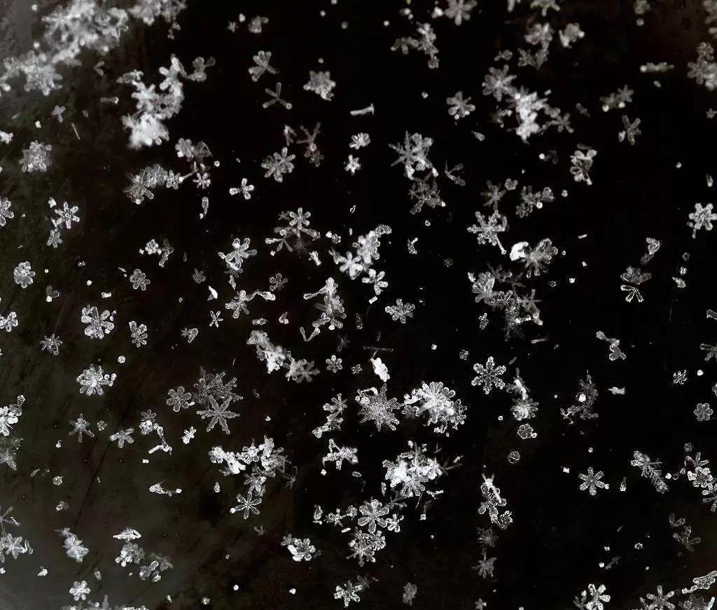 形容雪的句子16句,关于雪花的唯美句子