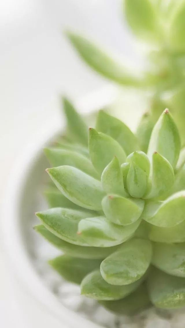 痛心的句子21句,让人悲伤不已!