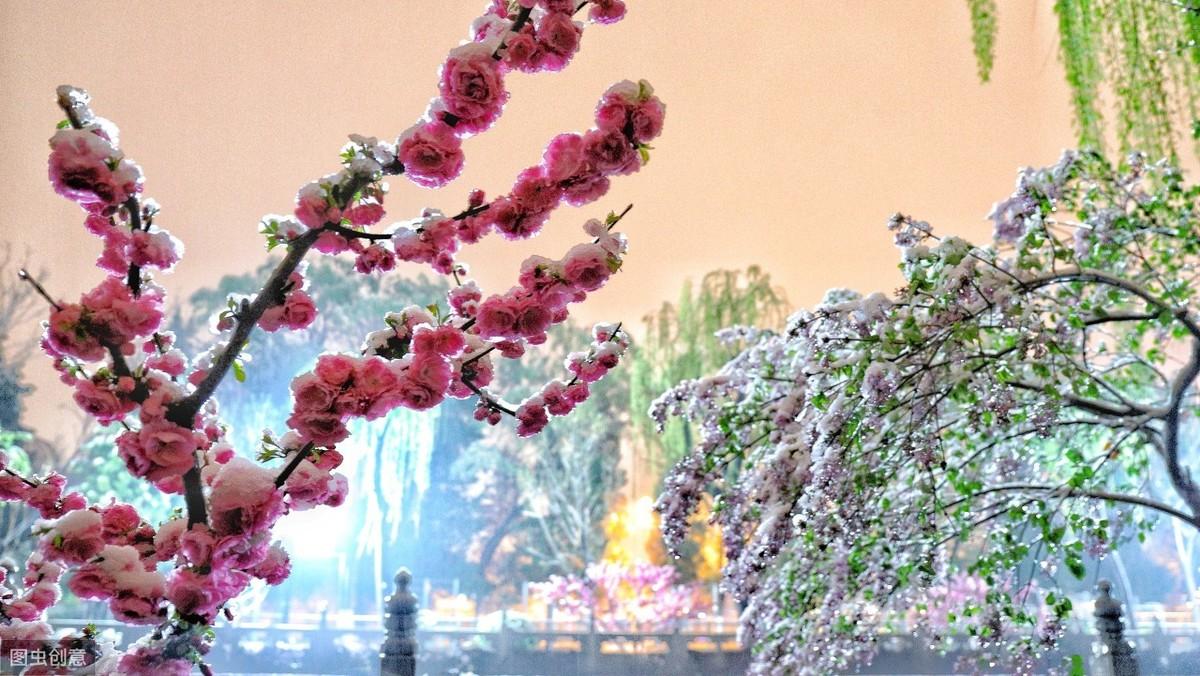 春雪作文800字初中习作(春雪)