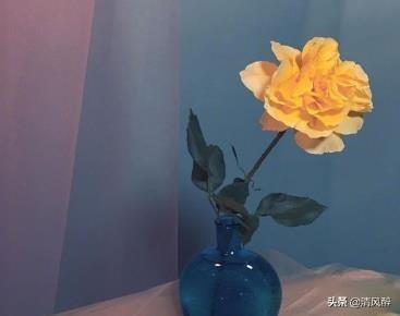 表达深爱一个人的句子15句,一世深情,不忘不负