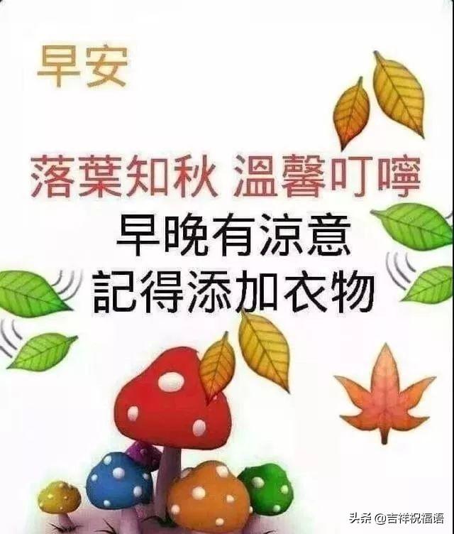 早上最暖心的问候语10句,阳光快乐,沁人心脾