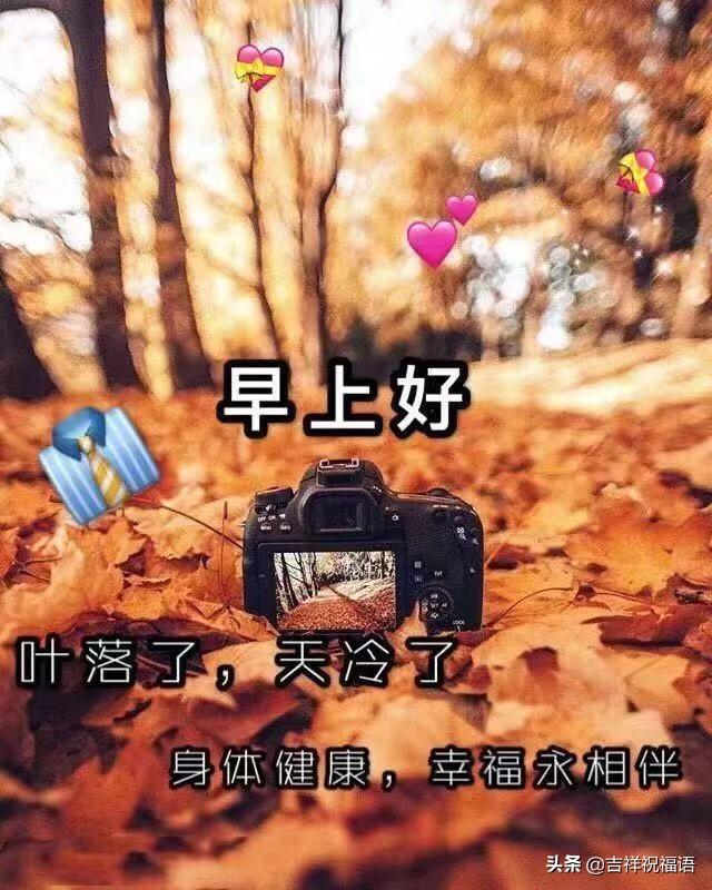 早上最暖心的问候语10句,阳光快乐,沁人心脾