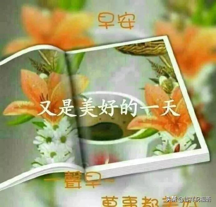 早上最暖心的问候语10句,阳光快乐,沁人心脾
