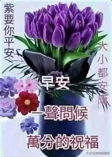 早上最暖心的问候语10句,阳光快乐,沁人心脾
