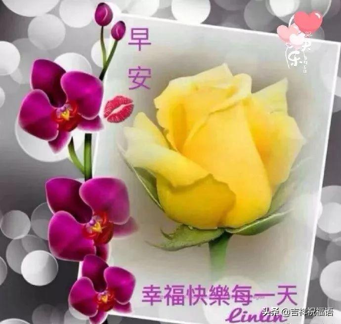早上最暖心的问候语10句,阳光快乐,沁人心脾