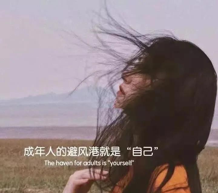 心寒的句子24句,句句心寒催泪