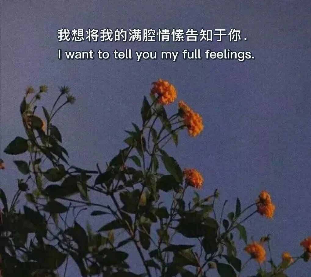 心寒的句子24句,句句心寒催泪