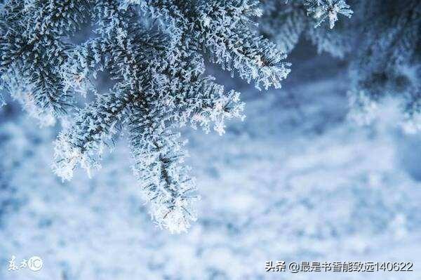 咏雪的名句100句,带你领略最美冬天!