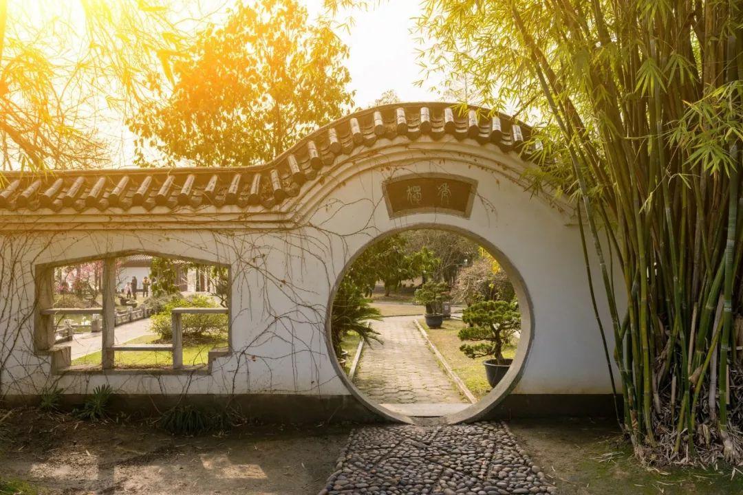 描写竹子的诗句57句,竹林清风,沁人心脾