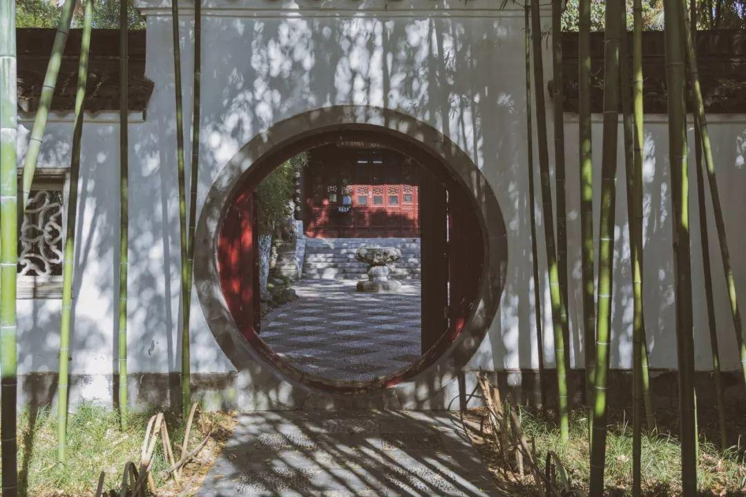 描写竹子的诗句57句,竹林清风,沁人心脾