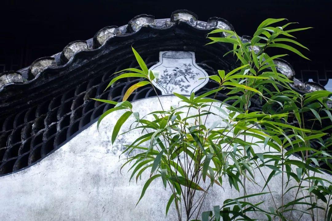 描写竹子的诗句57句,竹林清风,沁人心脾