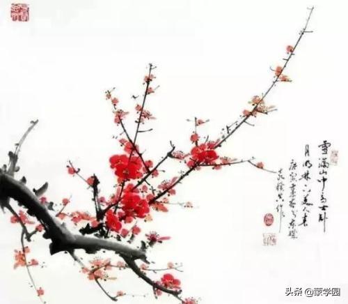 咏梅的诗80句,很有韵味的咏梅古诗词