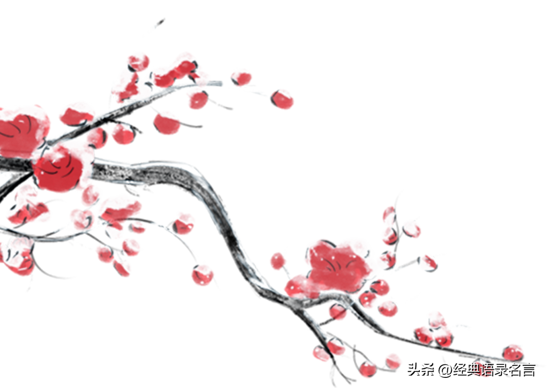 关于雪的句子27句,落雪为念,流年无恙