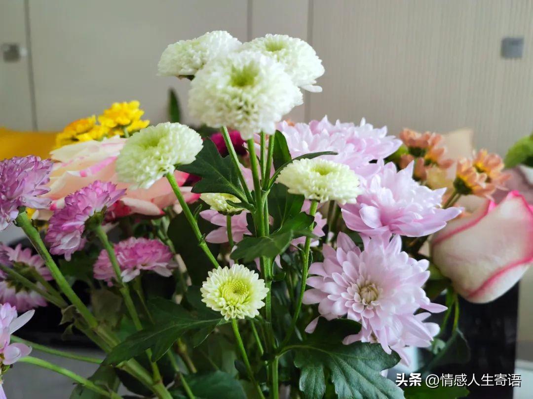 祝愿未来可期的句子17句,表达美好祝福的文案