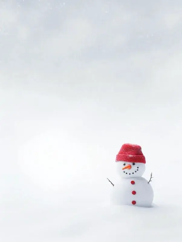 形容雪的句子20句,一起赏诗意雪景吧!