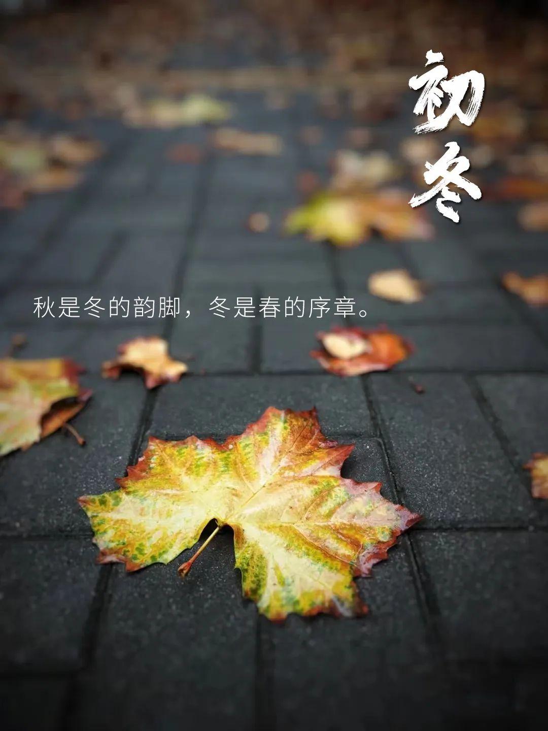 初冬的唯美句子20句,初冬浅浅,此刻正好