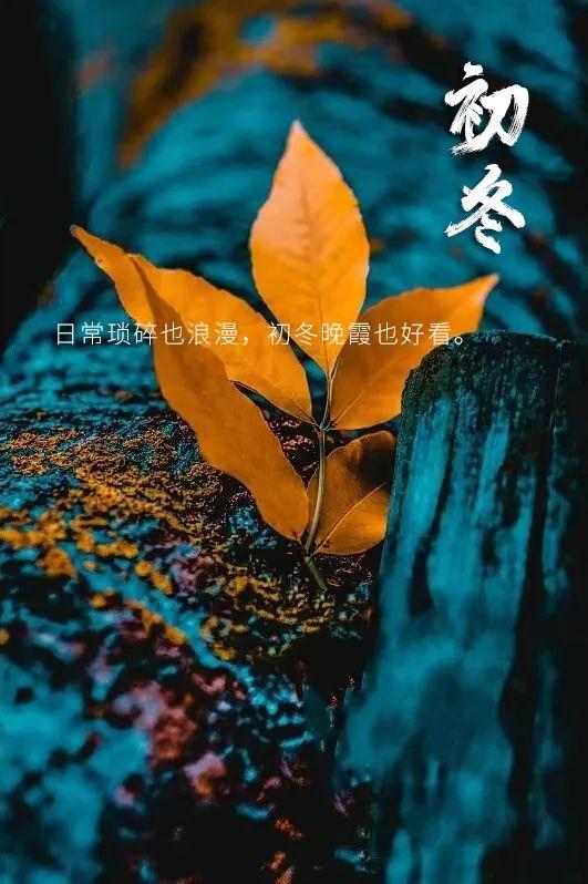 初冬的唯美句子20句,初冬浅浅,此刻正好