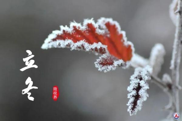 立冬的佳句23句,治愈你整个冬天