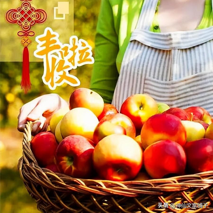 秋收的句子短句唯美15句,秋天大丰收的心情文案