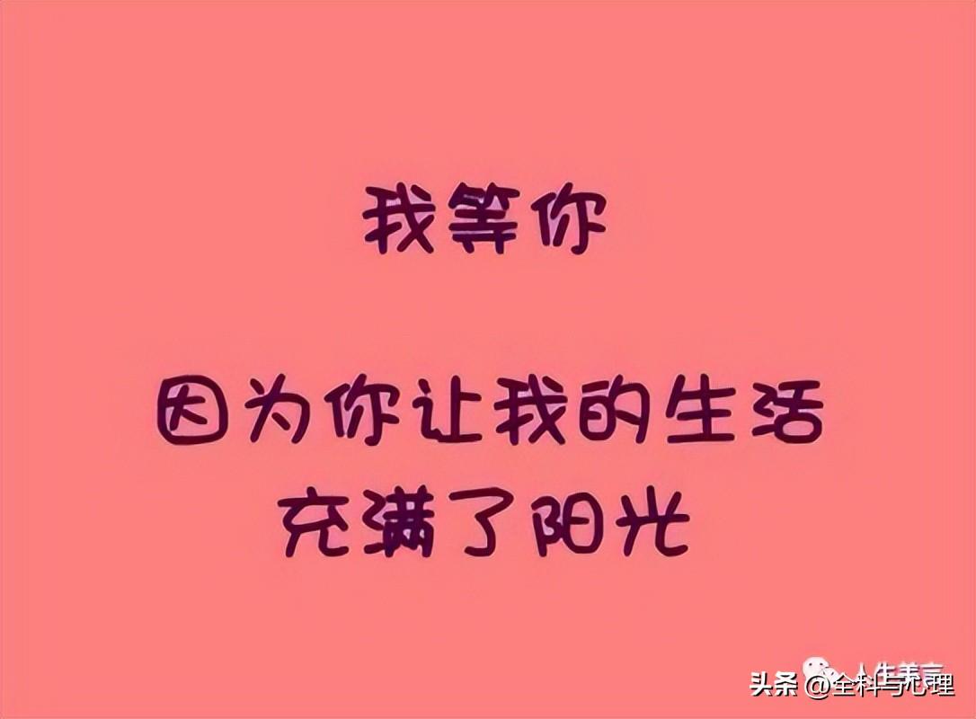 感人的爱情句子19句,说给你的另一半听