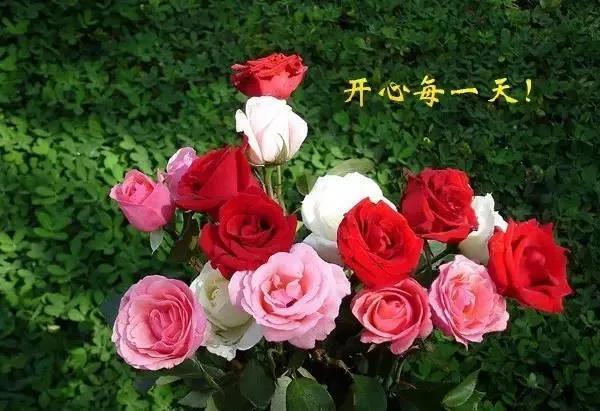 旅行简短文艺句子30句,唯美短句咏叹旅行的魅力