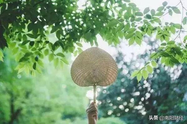 立秋绝美诗句8首,意境幽美、秋意丛生
