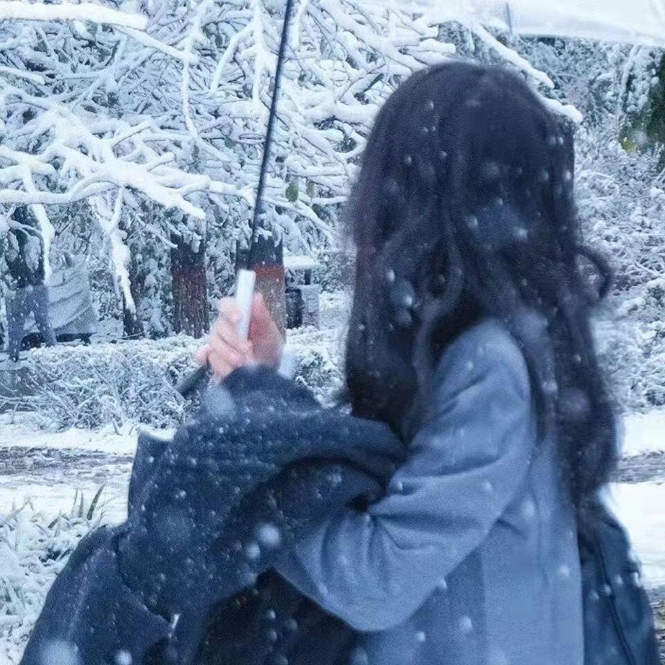 雪景文案60句,冬雪已至,万事胜意