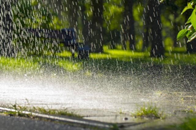 雨水文案15句,唤醒万物向上生长的希望