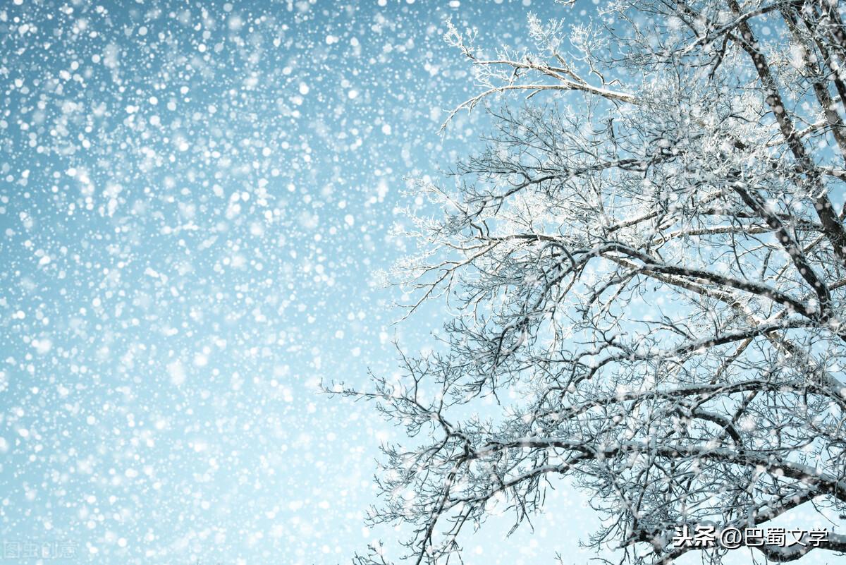 关于雪的文章(散文:读雪)