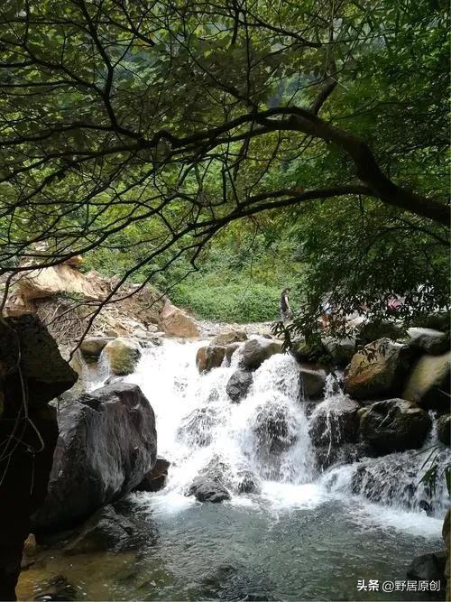 心情文章《散文——溪水人生,伴我长流》