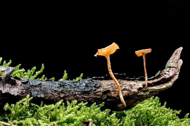 催人奋进的诗句10句,送给正在努力的你