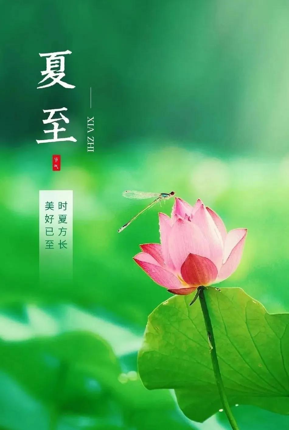 夏至文案短句20句,日久天长,如夏而至