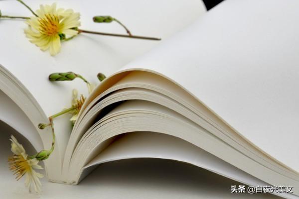 学会放弃作文800字(高考满分范文)