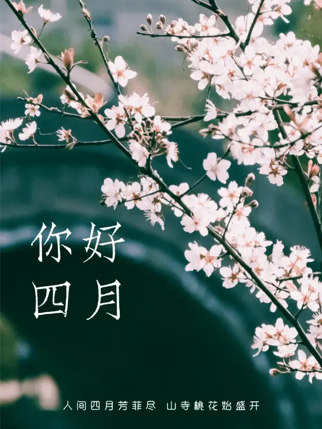 四月你好的唯美句子20句,人间最美四月天