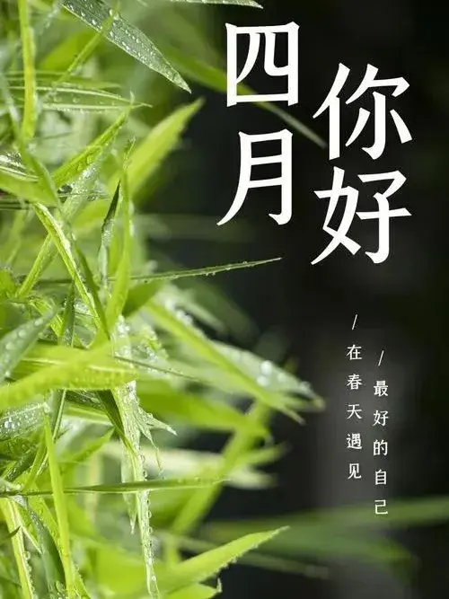 四月你好的唯美句子20句,人间最美四月天