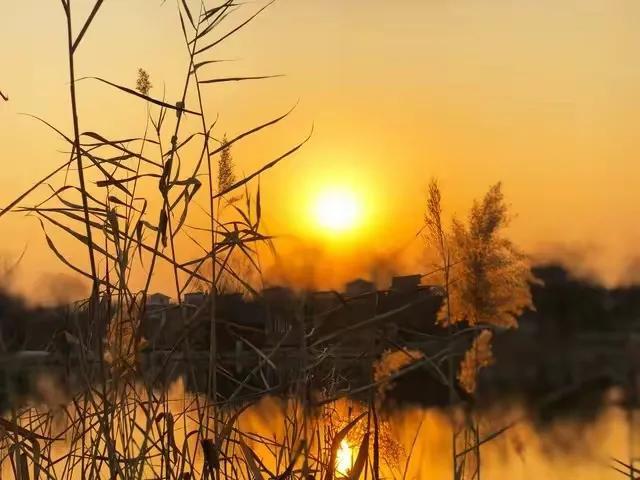 描写夕阳的诗20句,落日黄昏晓,夕阳醉晚霞