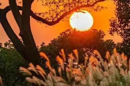 描写夕阳的诗20句,落日黄昏晓,夕阳醉晚霞