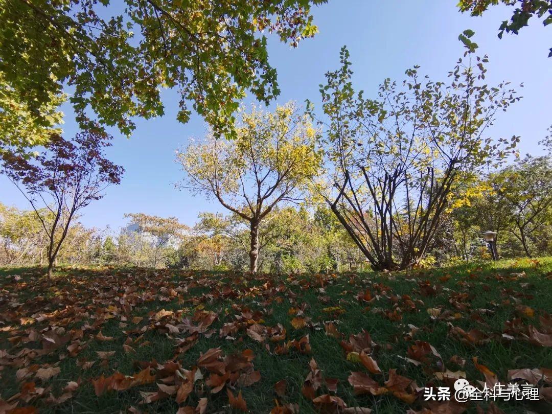 释放心情的文案25句,句句入心,简短精致