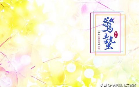 惊蛰文案20句，每一句都是春来的气息!